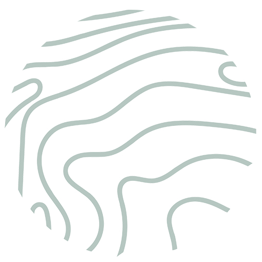 avp-logo-circle
