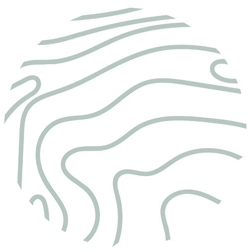 favicon-avp